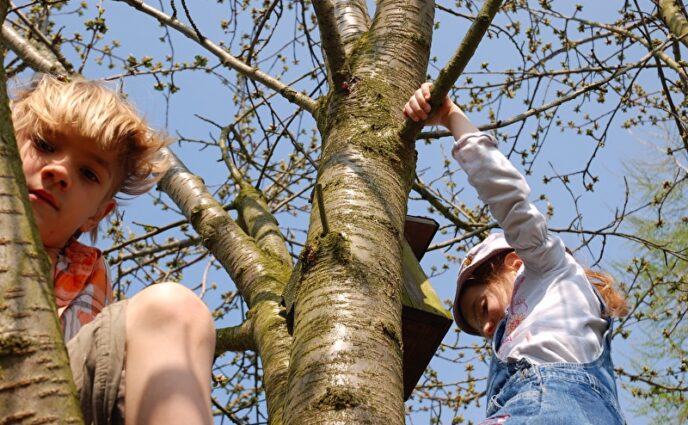 Schulungen zu herausforderndem Verhalten in rund 700 Kitas – Evaluation zeigt positive Wirkungen auf